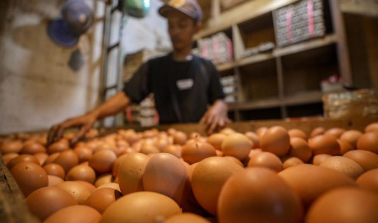 Meeting Results: Bapanas Kaji Usulan Telur Masuk Paket Bansos Beras Juli-September 2026
