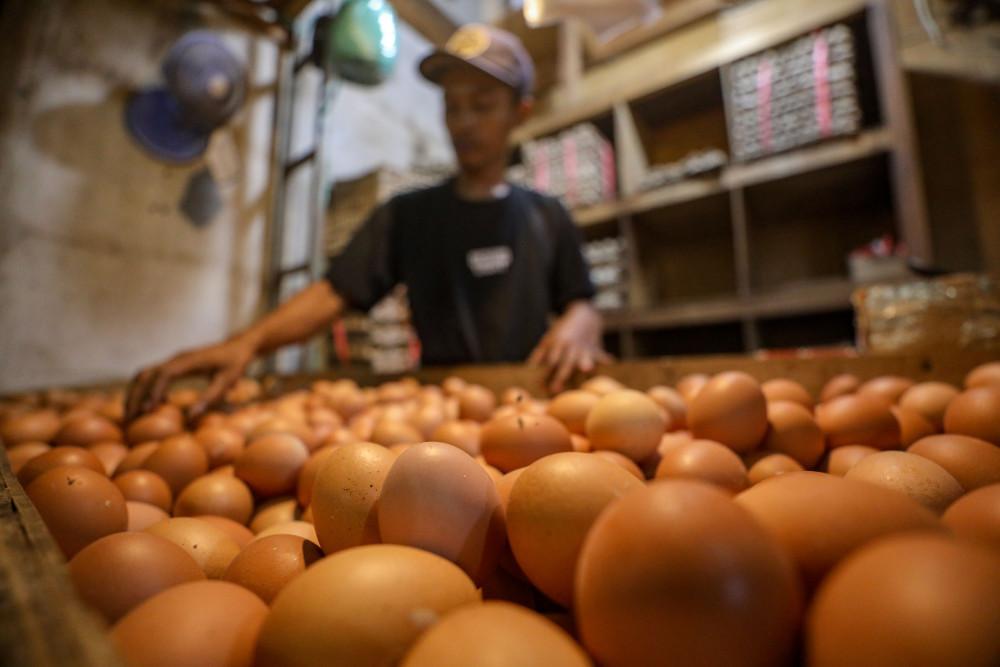Meeting Results: Bapanas Kaji Usulan Telur Masuk Paket Bansos Beras Juli-September 2026